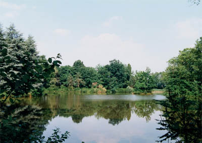 Fotografia del laghetto di Ceriano Laghetto in estate