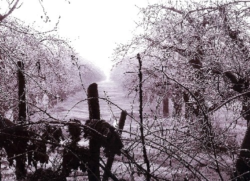 foto vincente la sezione a tema Ceriano del 2005