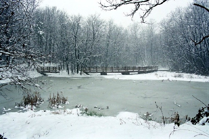 Foto della foppa di San Dalmazio sotto la neve