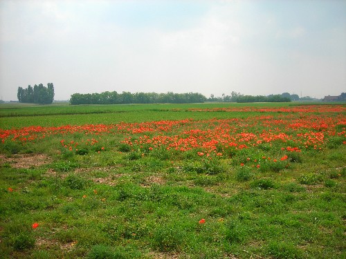 Immagine della campagna intorno alla frazione Dal Pozzo