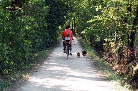 Foto della pista ciclabile che porta alla foppa di San Dalmazio