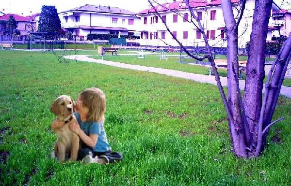 Immagine del nascente Parco dell'Amicizia