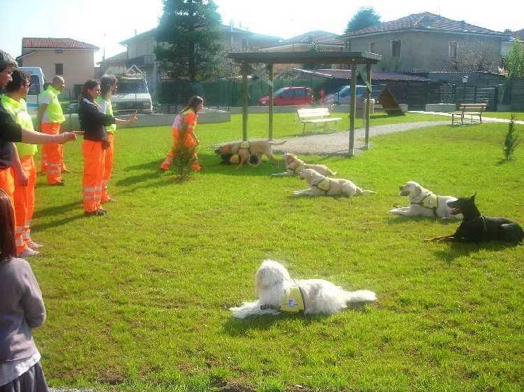 Foto di un momento di festa al Parco dell'Amicizia