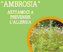 Immagine manifesto prevenzione diffusione ambrosia