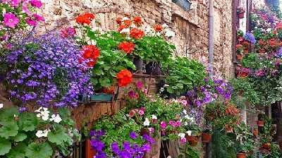 Foto di un esterno in fiore