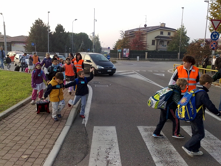 Pedibus