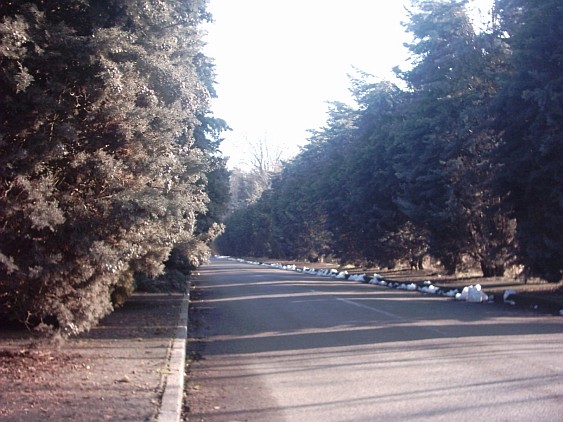 Viale del cimitero