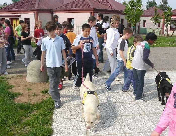 Foto dei ragazzi con i labrador